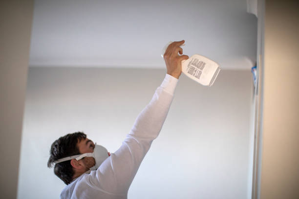 Best Fast Mold Removal  in Stratford, OK