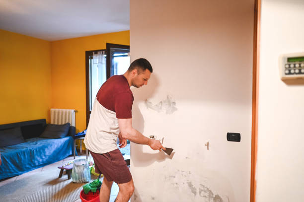 Best Mold Testing and Removal  in Stratford, OK