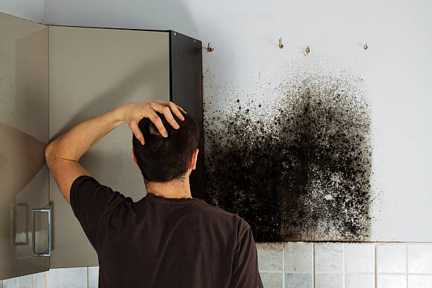 Best Mold Cleaning Services  in Stratford, OK