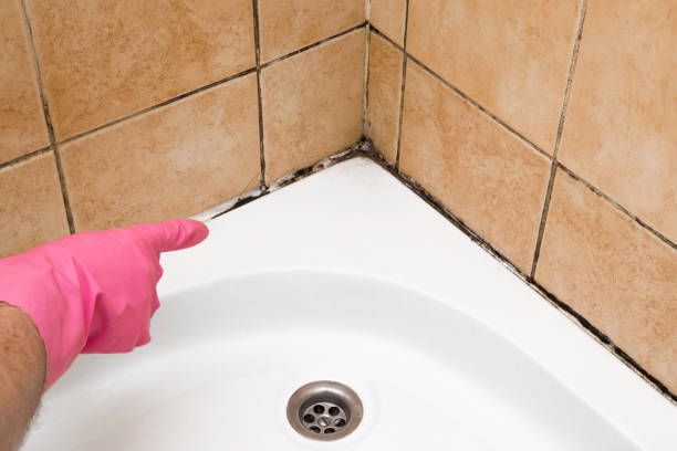 Best Mold Remediation Experts  in Stratford, OK